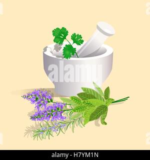 Mortaio e pestello con erbe aromatiche. Illustrazione Vettoriale. Illustrazione Vettoriale