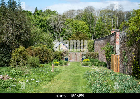 Paesaggio e il Parco Forestale Scozia Gran Bretagna Scone Palace Foto Stock