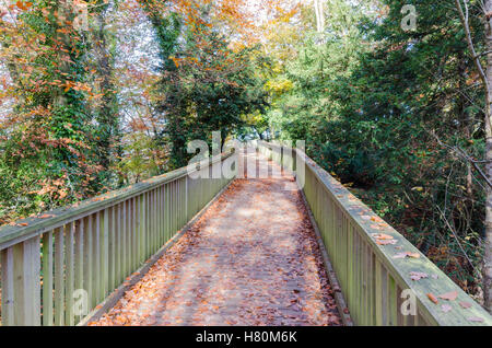 Passerella in legno per i visitatori di Symonds Yat Rock in Gloucestershire Foto Stock