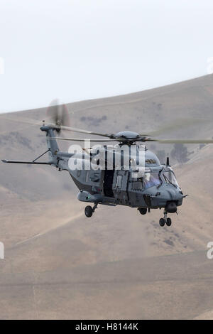 Royal New Zealand Air Force (RNZAF) NHInustries NH-90 Multirole elicottero Foto Stock