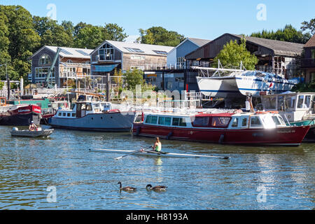 Il fiume Tamigi con anguilla isola a torta a Twickenham, Londra England Regno Unito Regno Unito Foto Stock