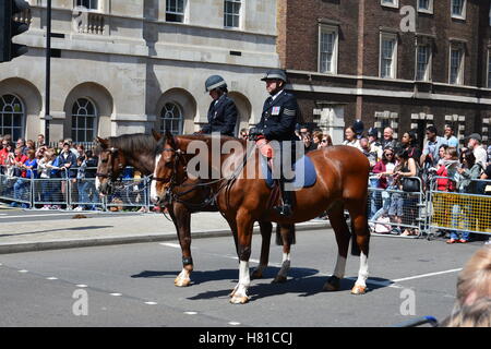 Polizia montata su 27 Maggio 2015 a Londra durante la fase di apertura del Parlamento. Foto Stock