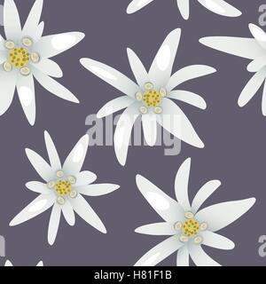 Modello senza cuciture con alpine edelweiss fiori.illustrazione vettoriale Illustrazione Vettoriale