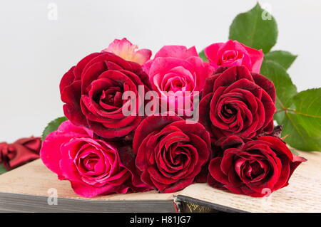 Rose rosse sulla parte superiore di un libro aperto Foto Stock