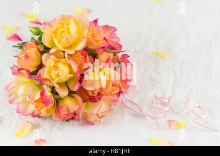 Rosso e giallo rose fresche su sfondo bianco Foto Stock