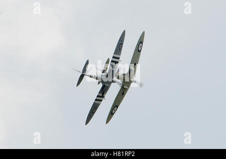 Due inglesi Spitfire iconica seconda guerra mondiale degli aerei da caccia Foto Stock