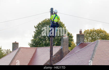 FAKENHAM, NORFOLK / UK - 10 ottobre 2016: BT Openreach engineer che fissa i cavi fino a polo. Foto Stock