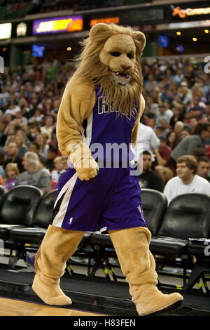 Ottobre 23, 2009; Sacramento, CA, Stati Uniti d'America; i Sacramento Kings mascotte durante il terzo trimestre contro la Utah Jazz presso l'ARCO Arena. Il Jazz ha vinto 95-85. Foto Stock