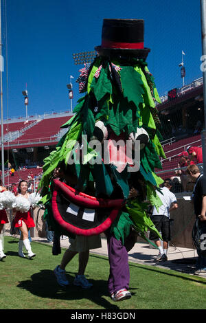 Il 4 settembre 2010; Stanford, CA, Stati Uniti d'America; la Stanford Cardinale mascotte esegue prima la partita contro il Sacramento membro calabroni presso la Stanford Stadium. Foto Stock