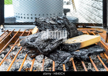 Griglia Per Il Barbecue Pit con incandescente e fiamme Foto Stock