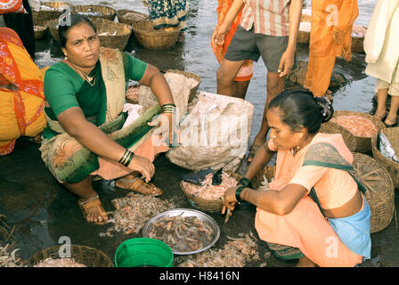 Le donne di Fisher la vendita del pesce nelle zone rurali del Maharashtra, India Foto Stock