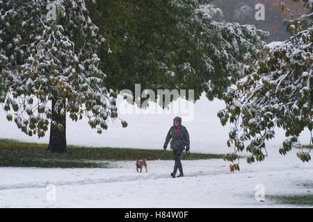 Riverside Gardens, Ilkley, West Yorkshire, Regno Unito. Il 9 novembre 2016. Lone dog walker in impermeabilizza, wellies e con cappuccio, braves gli elementi nel parco, dopo Ilkley la prima nevicata del 2016. Credito: Ian Lamond/Alamy Live News Foto Stock