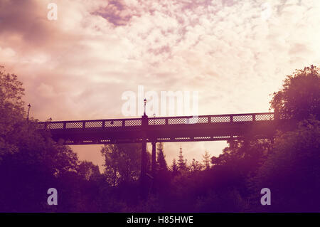 Armstrong Bridge in Jesmond Dene, Newcastle upon Tyne, England, Regno Unito Foto Stock