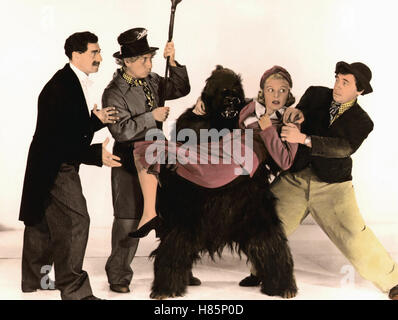 Die Marx Brothers im Zirkus, (l'MARX BROTHERS PRESSO IL CIRCO) USA 1939, Regie: Edward Buzzel, Groucho Marx, gli Harpo Marx, EVA GARDEN, Chico Marx, Stichwort: Gorilla Handgemenge, Foto Stock