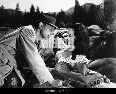 Der Stachel des Bösen, (al di là del bosco) USA 1949, Regie: King Vidor, JOSEPH COTTEN, BETTE DAVIS, Stichwort: Paar Foto Stock