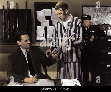 Stärker als Ketten, (CARBINE WILLIAMS) USA 1952, Regie: Richard Thorpe, WENDELL COREY, JAMES STEWART, Stichwort: Sträfling, Gefängnis, Waffen, Gewehr Foto Stock