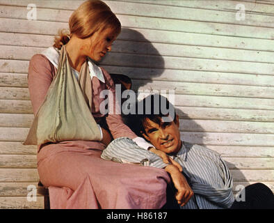 Bonnie und Clyde, (Bonnie e Clyde) USA 1967, Regie: Arthur Penn, Faye Dunaway, Warren Beatty Foto Stock