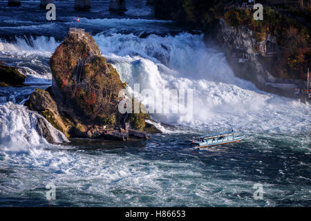 Cascate del Reno, Neuhausen, Cantone di Sciaffusa, Svizzera. Foto Stock