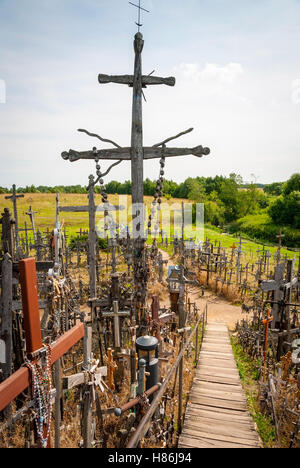 Collina delle Croci, Kryziu kalnas, Lituania Foto Stock