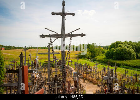 Collina delle Croci, Kryziu kalnas, Lituania Foto Stock