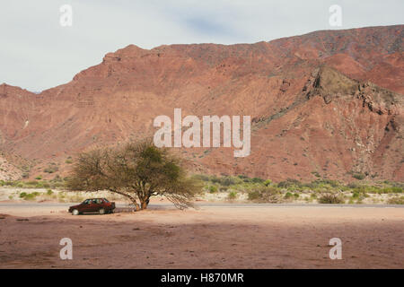 Valles Calchaquíes in Argentina del nord. Vista su strada con una macchina parcheggiata sotto un albero Foto Stock