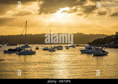 Barche a vela al tramonto in Watsons, Sydney Foto Stock