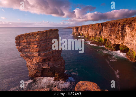 A nord mare Gaulton stack, Orkney Foto Stock