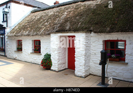 Costruito in pietra e dipinto di bianco cottage irlandese in Londonderry con tetto di paglia e la pompa acqua e gas street lampada. Foto Stock