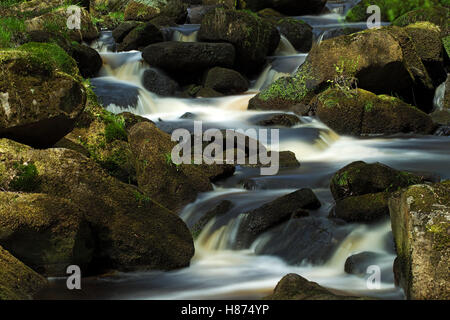 Padley Gorge, Peak District National Park, Grindleford, Derbyshire. Inghilterra, Regno Unito. Foto Stock