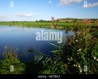 Il fiume Arun a Bury, West Sussex. Vi è stato un traghetto passeggeri a Amberley qui fino al 1957. Foto Stock