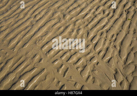 Am Strand. Langeoog Deutschland in Germania. Modelli a sinistra nella sabbia sulla spiaggia dal mare in recessione a bassa marea. Foto Stock