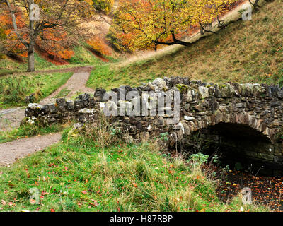 Passerella sul fiume Skell in sette ponti Valle Studley Royal Ripon Inghilterra Yorkshire Foto Stock