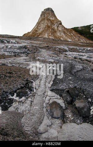 Coni sul cratere del piano all'interno del cratere di Ol Doinyo Lengai nel 2002, Tanzania Foto Stock