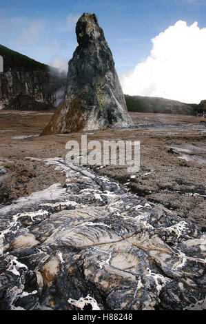 Coni sul cratere del piano all'interno del cratere di Ol Doinyo Lengai nel 2002, Tanzania Foto Stock