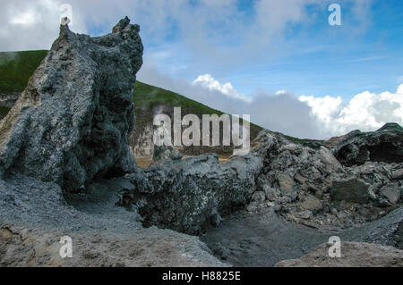 Coni sul cratere del piano all'interno del cratere di Ol Doinyo Lengai nel 2002, Tanzania Foto Stock