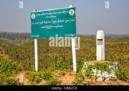 La piantagione di teak, Bago Yoma foresta, Pegu mountain range, Myanmar Foto Stock