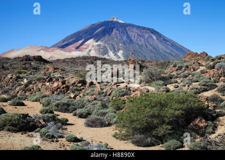 Vulcano Teide, isola di Tenerife arcipelago delle Canarie, Spagna, Europa Foto Stock
