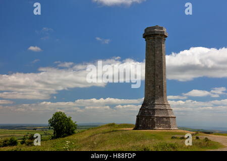 Hardy's Monument torreggianti in alto sulla collina di Blackdown con drammatica sky e cloudscape dopo un'accurata ristrutturazione e pulizia Foto Stock