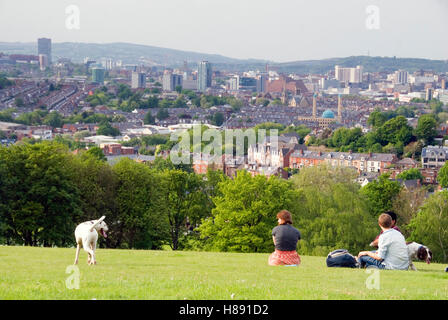 Sheffield, Regno Unito 16 maggio 2014: Meersbrook Park offre viste mozzafiato sulla città il 16 maggio a Sheffield, Yorkshire, Regno Unito Foto Stock