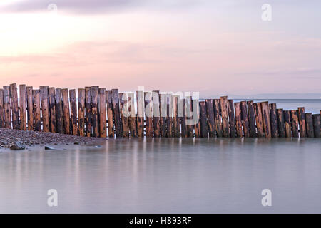 Sunset over Porlock Weir di legname mare groyne difese, Somerset, Inghilterra, Regno Unito Foto Stock