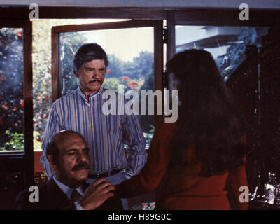 Curatore, (il male che fanno gli uomini) USA 1984, Regie: J. Lee Thompson, Charles Bronson Foto Stock