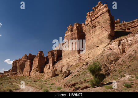 La strada attraverso la valle secca di Castelli a Charyn canyon parco nazionale del Kazakistan Foto Stock