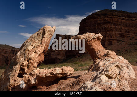 Snake e fungo di pietra arenaria rossa scultura in pietra nella valle di Castelli Charyn Canyon Park Kazakistan Foto Stock