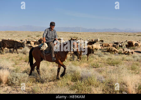 Il kazako cowboy a cavallo immobilizzare i bovini e gli ovini nella steppa del zhongar montagne alatau Kazakistan Foto Stock