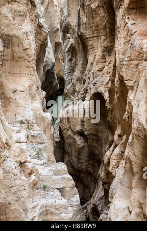 Caminito del Rey, Málaga, Spagna Foto Stock