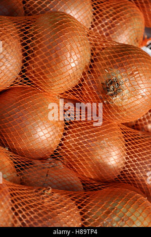 Close up di cipolle dorate in arancione borsa a rete sul display Foto Stock