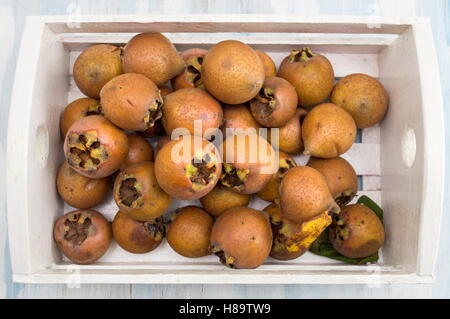 Sana nespola maturi frutti in un bianco scatola in legno Foto Stock