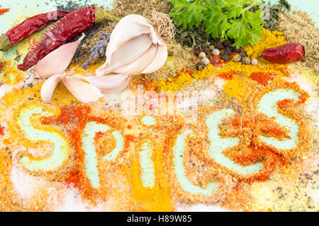 Spezie di parola scritta in colorato sfondo di stagionatura. Ama la cucina Foto Stock