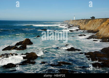 Punto Arena faro sulla costa di Mendocino, in California Foto Stock