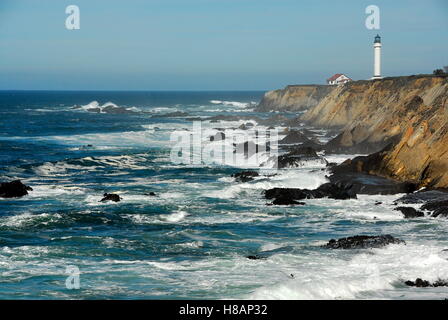Punto Arena faro sulla costa di Mendocino, in California Foto Stock